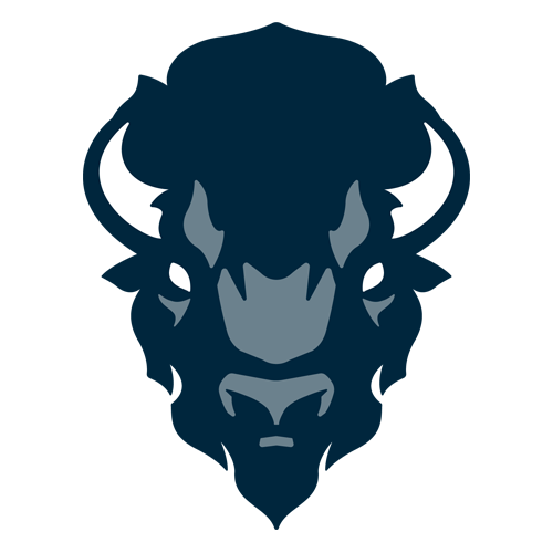 bison-leads.com